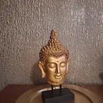 Homestay Living Darmstadt