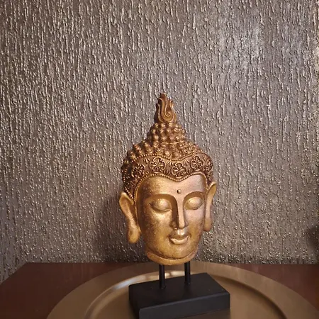 Séjour chez l'habitant Living Darmstadt